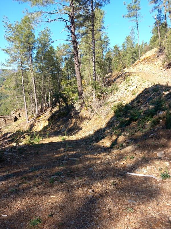 Maison - 300 m² - 1 pièce