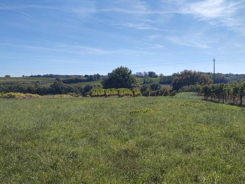 Terrain constructible - 1 201 m²