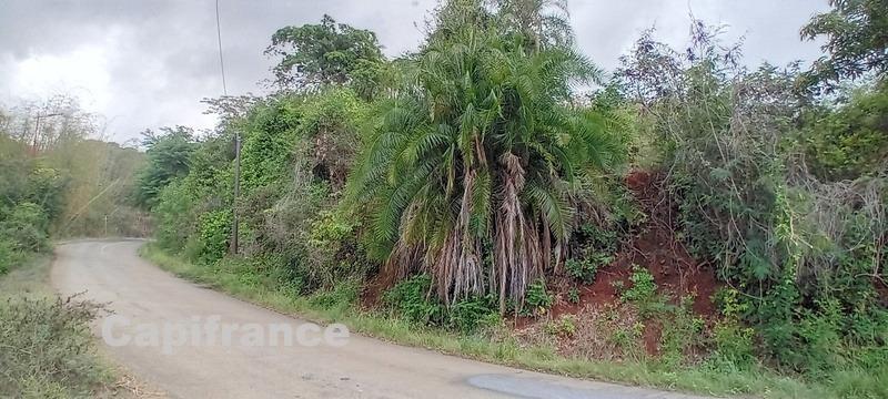 Terrain constructible - 7 647 m²