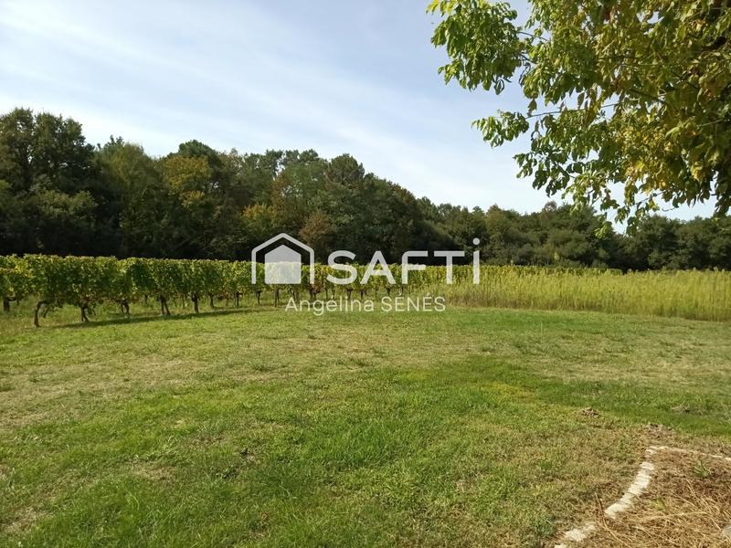 Maison - 700 m² - 6 pièces