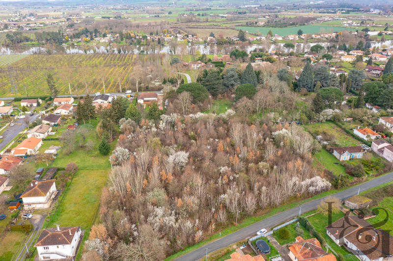 Terrain - 10 694 m²