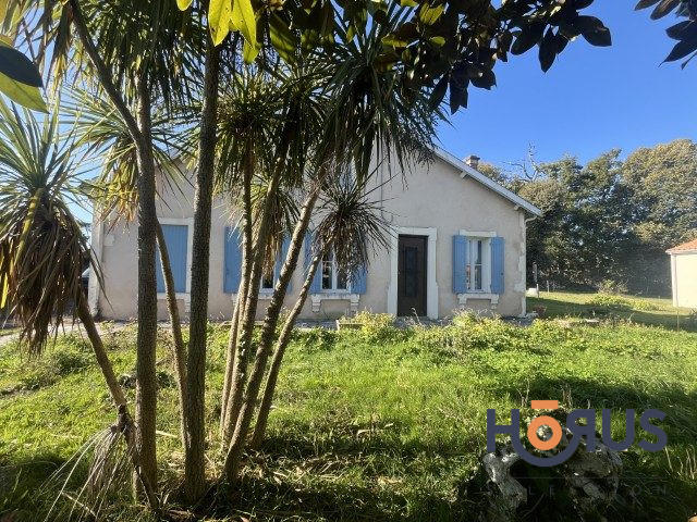 Viager - Maison - 165 m² - 6 pièces