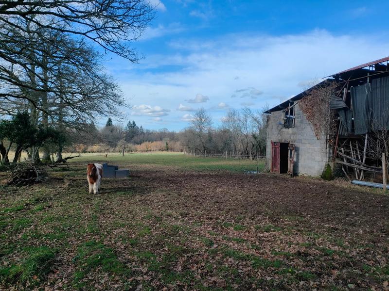 Fermette - 60 875 m² - 4 pièces