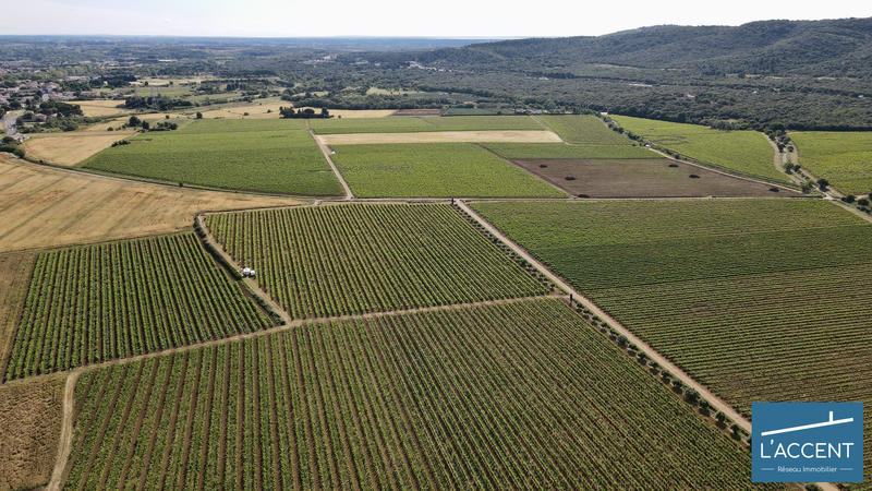 Château - 3 038 m² - 55 pièces