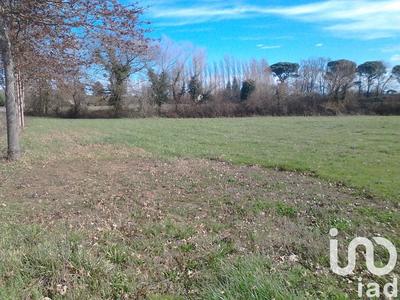 Terrain - 2 776 m²