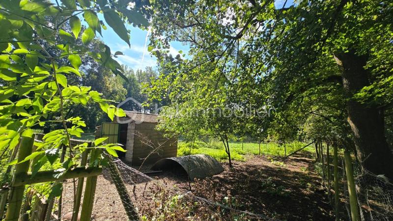 Maison de maîtres - 530 m² - 17 pièces