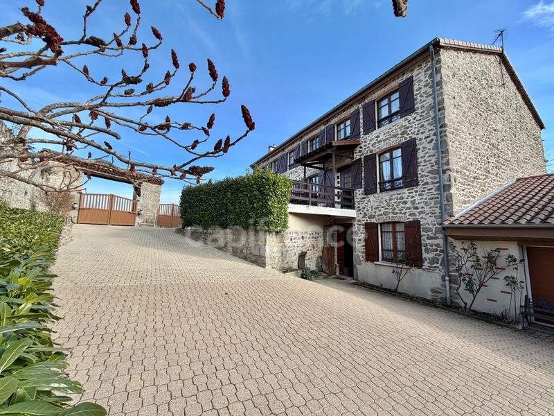 Maison en pierre - 545 m² - 21 pièces