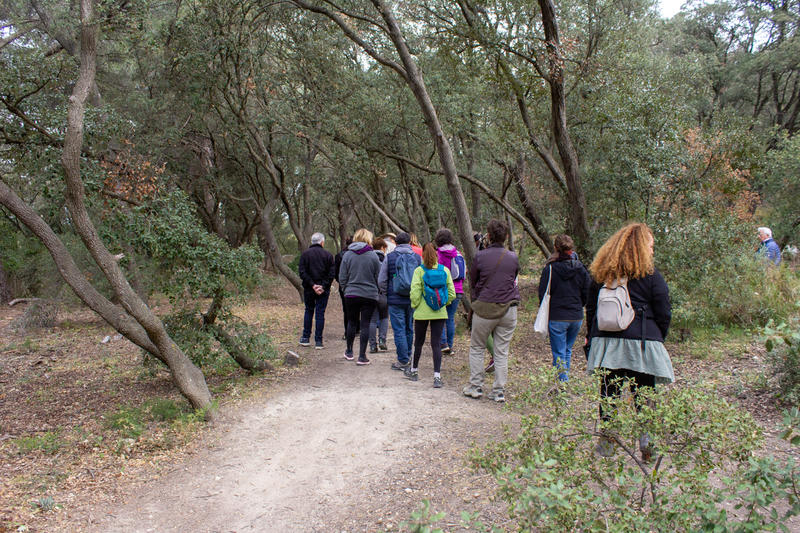 Éco-balade : de la Chênaie de Lavalduc vers les Salins de Rassuen