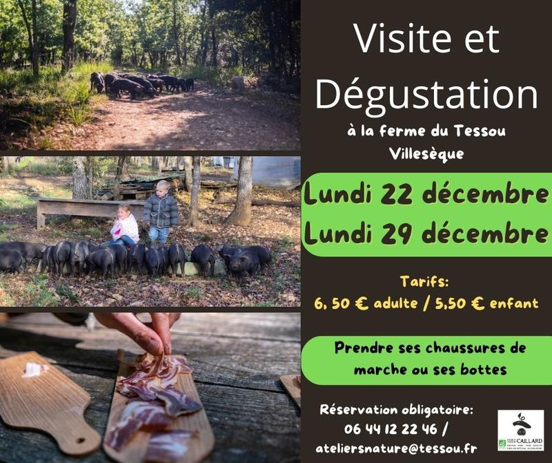 La Ferme du Tessou vous ouvre ses portes !