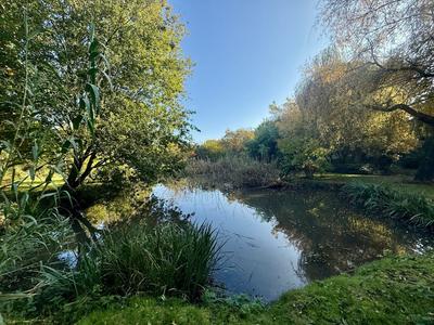 Maison ancienne - 177 m² - 5 pièces