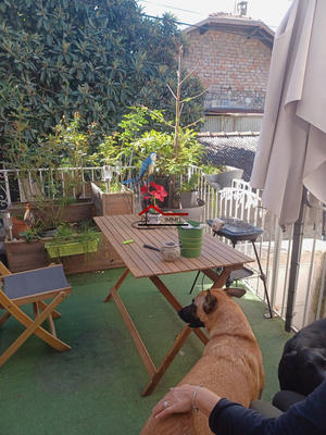 Maison - 95 m² - 6 pièces