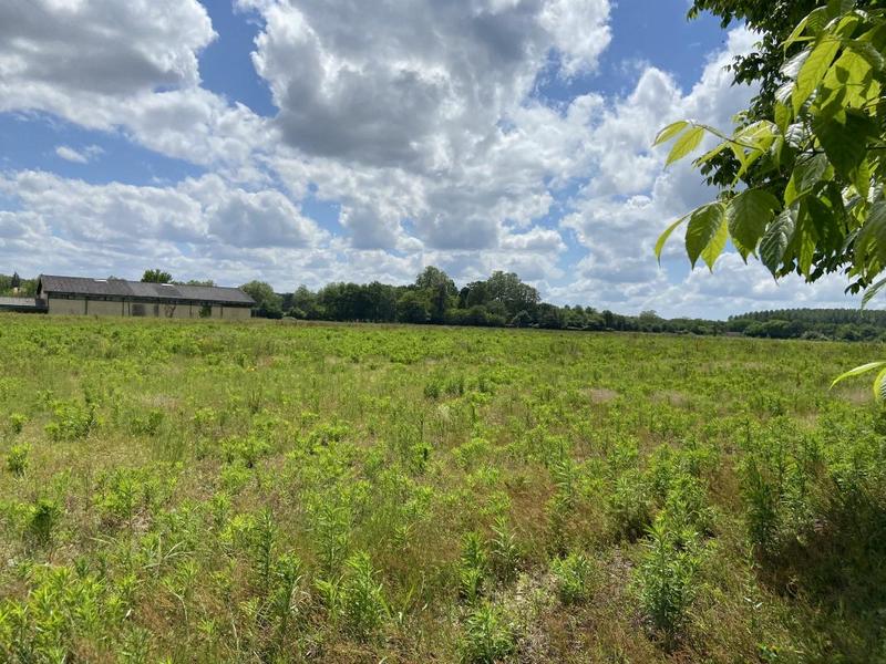 Terrain constructible - 714 m²