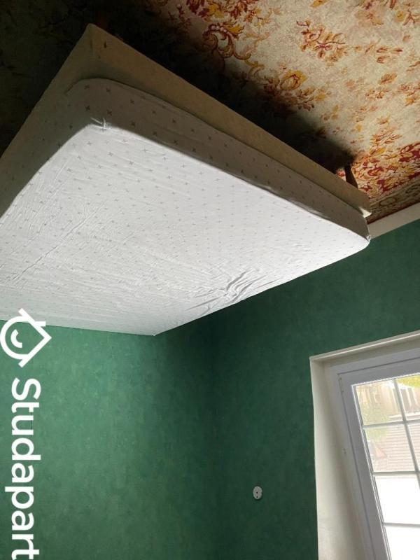 Chambre - 20 m² - 1 pièce