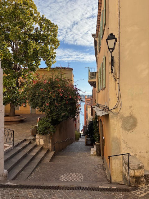 Appartement - 50 m² - 1 pièce