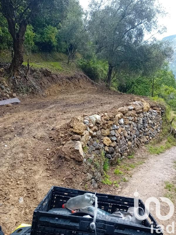 Terrain agricole - 9 300 m²