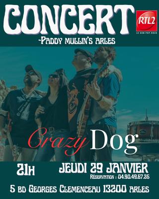 Concert - Crazy Dog