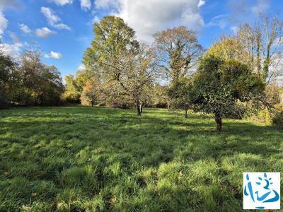 Maison ancienne - 150 m² - 6 pièces