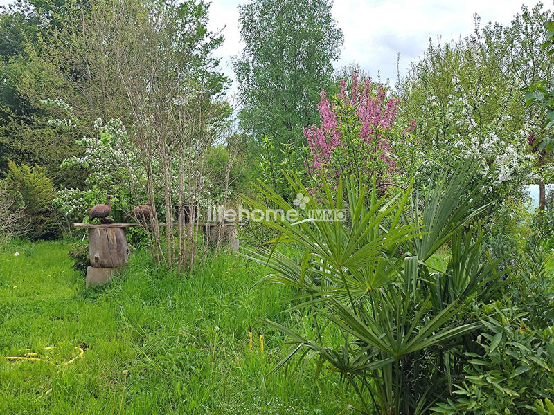 Maison ancienne - 240 m² - 7 pièces