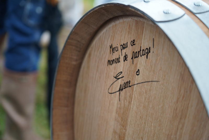 Vendanges de l’hivernal, au Château de Crouseilles