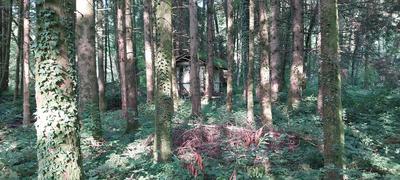 Terrain de loisirs - 3 045 m²