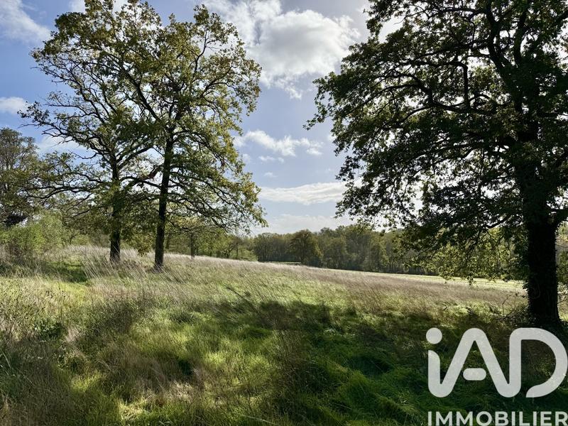 Terrain - 12 710 m²