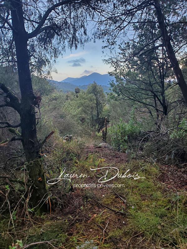 Terrain de loisirs - 9 505 m²