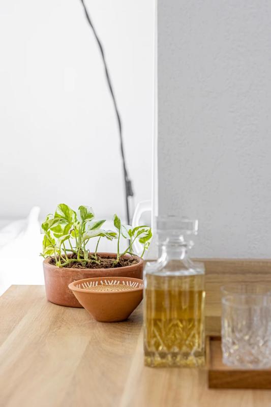 Appartement - 32 m² - 1 pièce