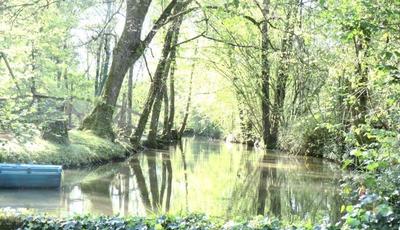 Maison - 190 m² - 8 pièces