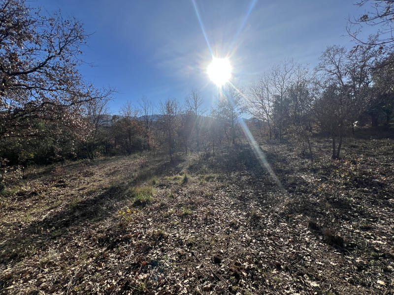 Terrain de loisirs - 10 100 m²