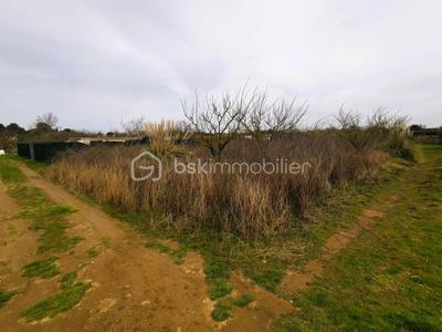 Terrain de loisirs - 7 366 m²