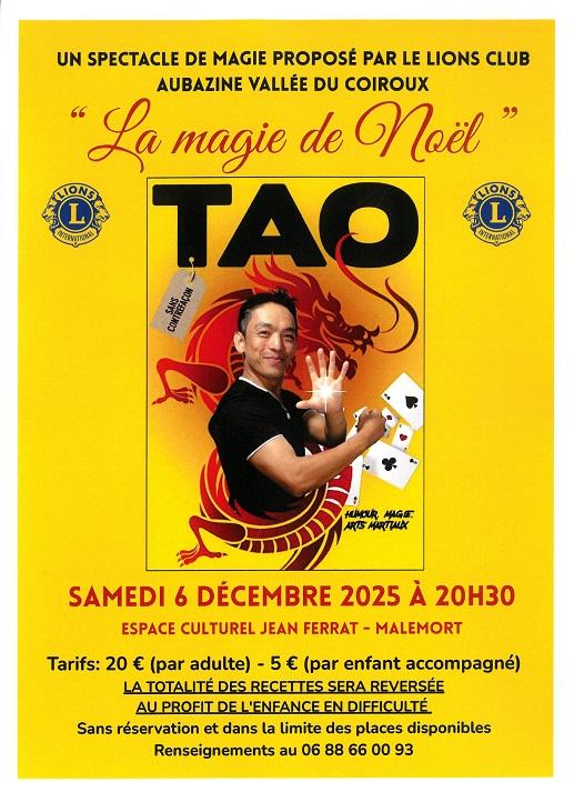Spectacle de Tao : &quot;La magie de Noël&quot;