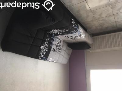 Appartement - 20 m² - 1 pièce
