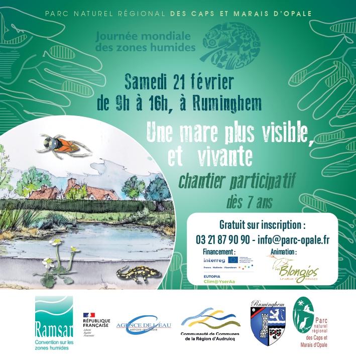 Une mare plus visible et vivante