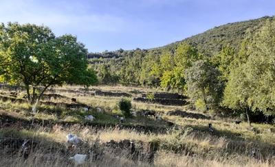 Balade Lecture de Paysage