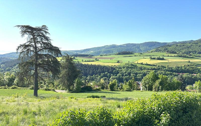 Terrain de lotissements - 972 m²