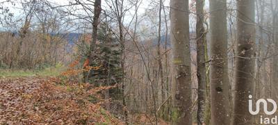 Terrain - 61 700 m²