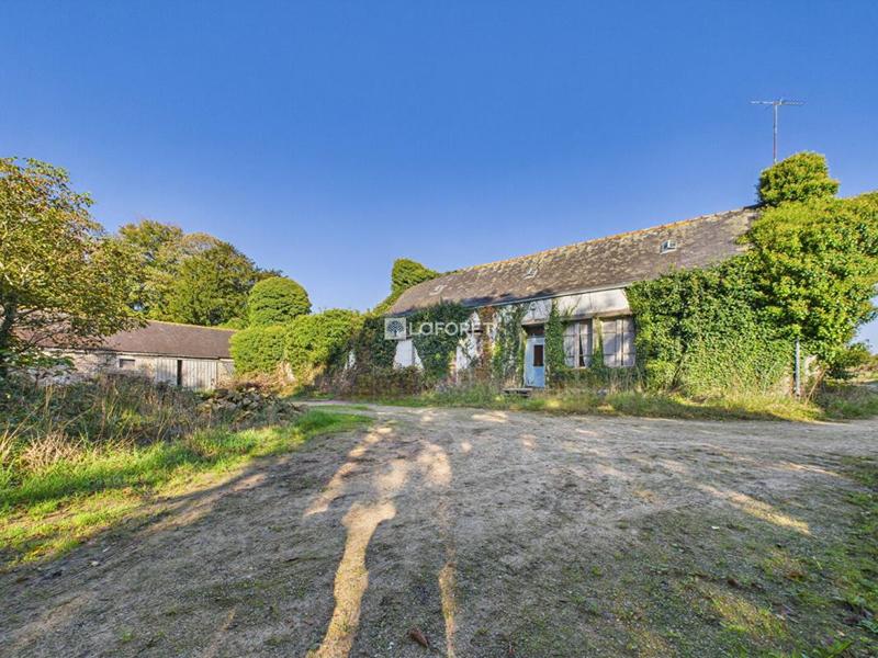 Corps de ferme - 100 m² - 4 pièces