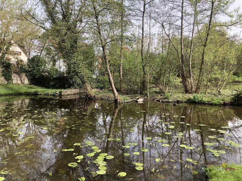 Maison ancienne - 378 m² - 15 pièces