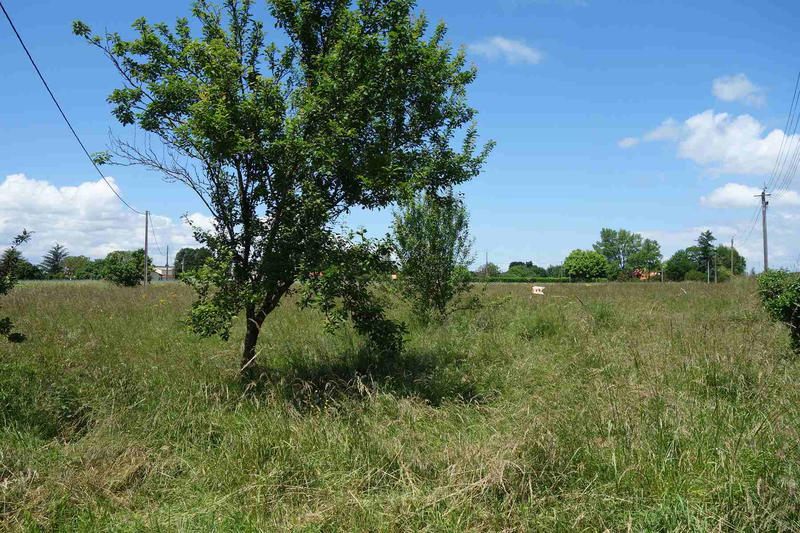 Maison - 50 m² - 2 pièces