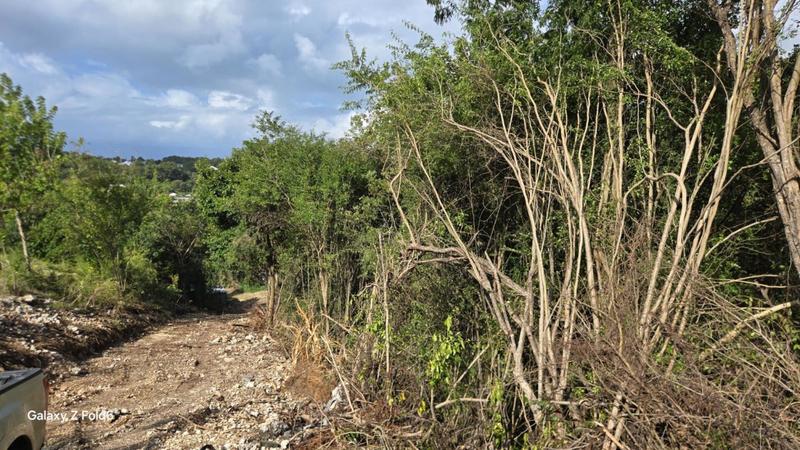 Terrain constructible - 3 000 m²