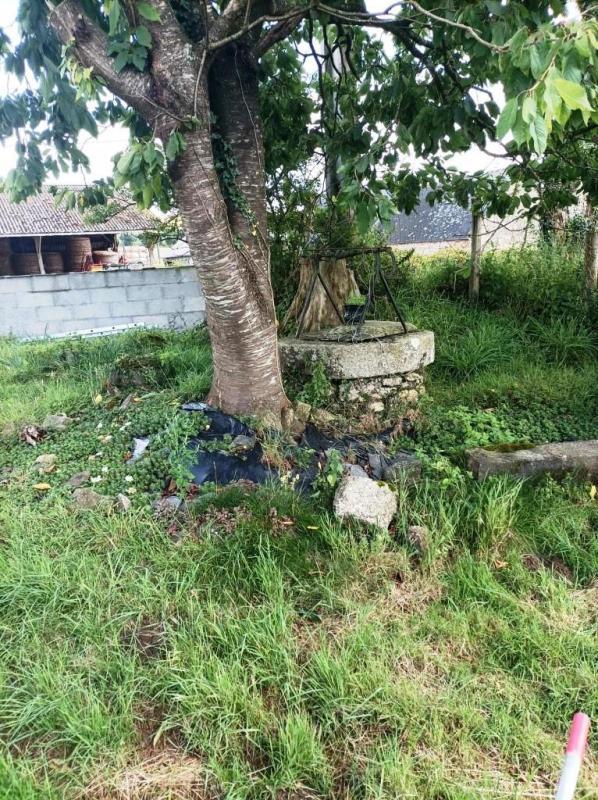 Maison en pierre - 85 m² - 4 pièces