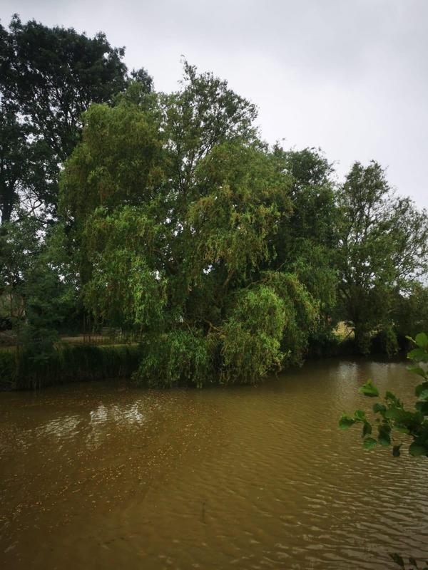 Terrain de loisirs - 9 295 m²