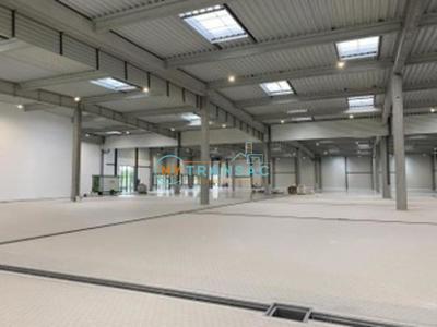 Local d'activités - 6 088 m²