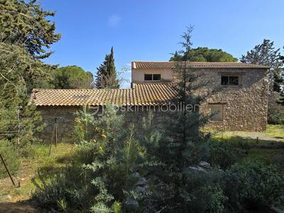 Mas - 195 m² - 7 pièces