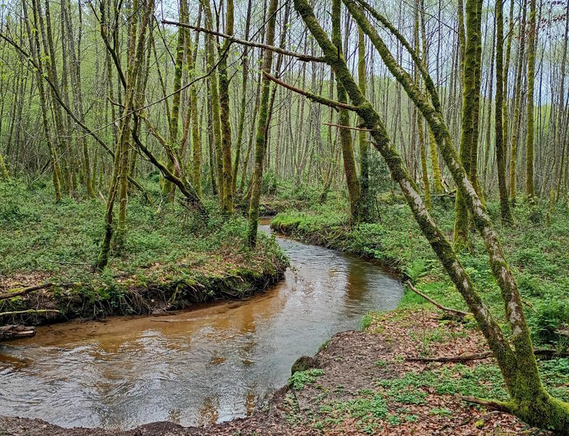 Sophrobalade, une vraie pause, pour revenir à l'Essentiel, au cœur de la Nature !
