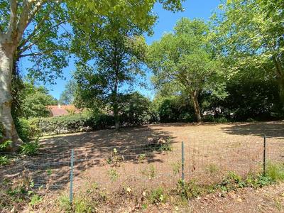 Terrain constructible - 1 041 m²