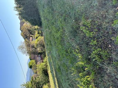 Terrain constructible - 1 092 m²