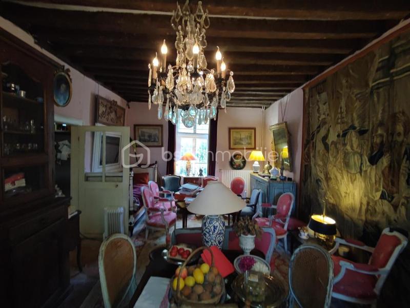 Maison de maîtres - 310 m² - 12 pièces