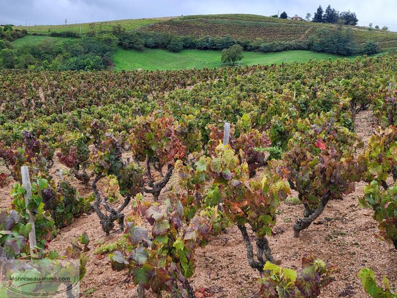 Terrain agricole - 27 297 m²