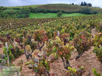 Terrain agricole - 27 297 m²